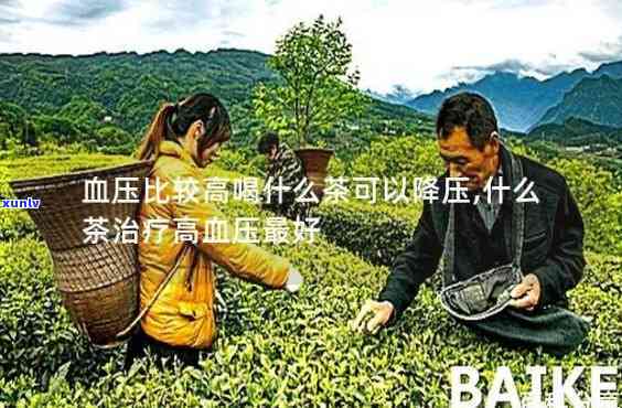 哪些茶可以有效降血压？求推荐