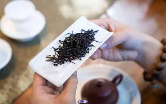 口粮茶排名之一旺财-口粮茶排行