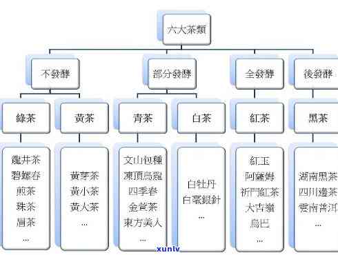 茶分为哪六大类及特点？详解划分依据与各类茶叶特性