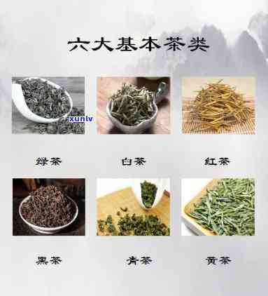 茶大致可分为哪六类-茶主要分为六大类