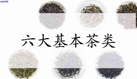 茶大致可分为哪六类-茶主要分为六大类