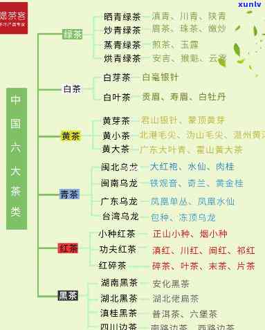 茶大致可分为哪六类-茶主要分为六大类