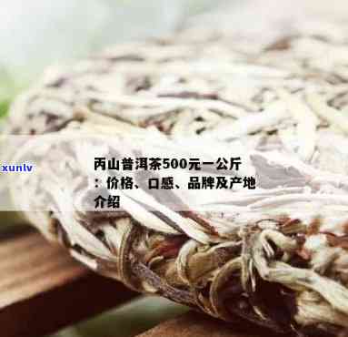 丙山普洱茶价格：500元/公斤，云南丙山普洱茶行情