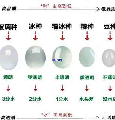 2002年的熟普洱茶价格