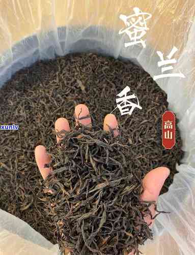 蜜兰香单枞茶的功效，揭秘蜜兰香单枞茶的神奇功效，你不可不知！