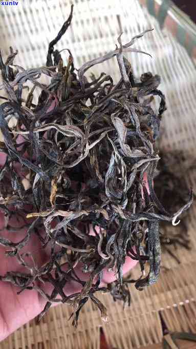 新茶与老茶怎么区分-新茶与老茶怎么区分的