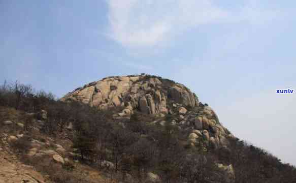 山东馒头山，探秘美食文化：山东馒头山的魅力与历史