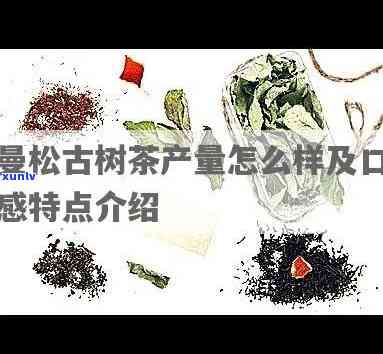 曼松古树茶今年产量如何？求解！