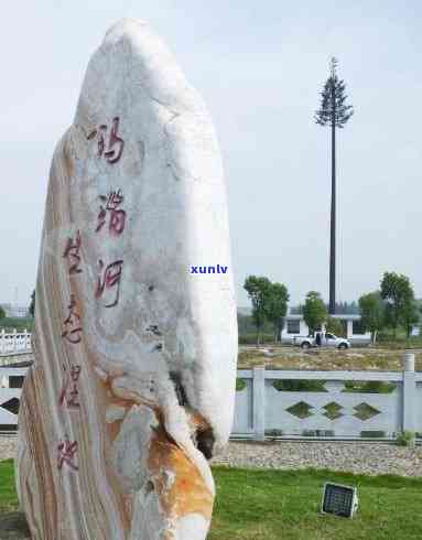 古树茶香，凤祥滇红的独特韵味