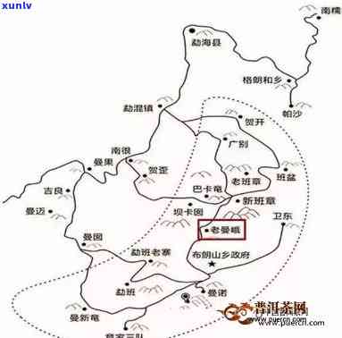 曼松古树茶产地揭秘：在哪座山头出名？属于哪个茶区？