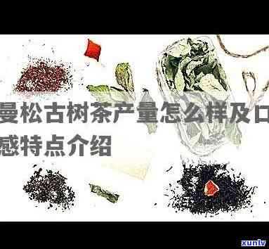 曼松古树茶价格，探寻古老韵味：曼松古树茶的价格解析