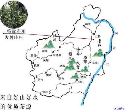 探寻倚邦古树茶：产地、特点及价值解析