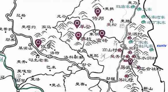 探寻倚邦古树茶：产地、特点及价值解析