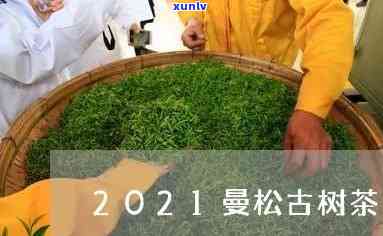 倚邦古树茶曼松价格-2021年倚邦古树茶价格