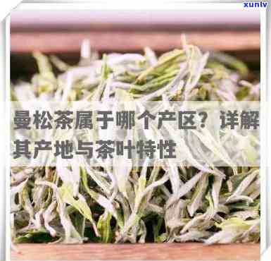 曼松茶：哪几个寨子最知名？解析曼松茶的产地与特点