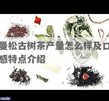 曼松古树茶是什么香型的，「揭秘」曼松古树茶的独特香型究竟是什么？