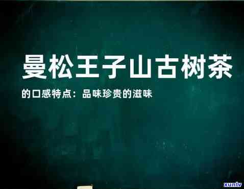 曼松王子山古树茶产区及价格解析，口感特点与品种介绍