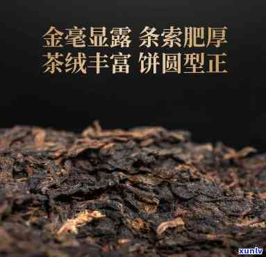 云南七子饼茶7451，【老班章】2023春茶 熟普洱 云南七子饼茶7451熟茶 高山纯料压制357g 礼盒装送人佳品 易武老班章古树红茶普洱茶生茶礼品茶叶男大红袍礼盒复古包装生日礼物女友爸爸健饮品复古怀旧宫廷风宫廷贡品