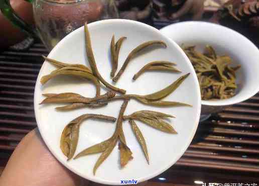 曼松皇家贡茶瓦雀嘴-曼松瓦雀嘴普洱茶