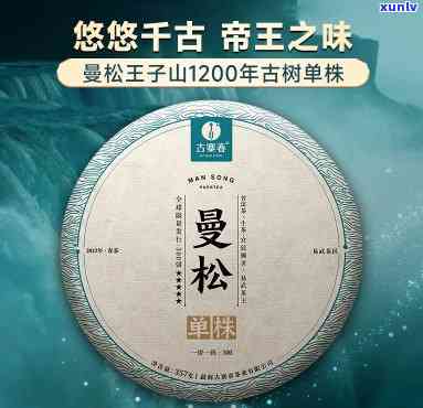 2023年曼松古树茶价格是多少？公斤价与市场行情解析