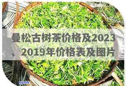 2023年曼松古树茶价格是多少？公斤价与市场行情解析