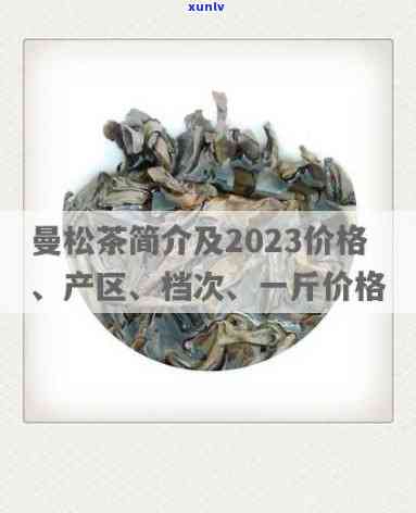 2023年曼松古树茶价格是多少？公斤价与市场行情解析