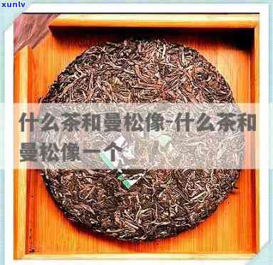 松石曼茶是什么东西做成的，揭秘松石曼茶：它是如何制成的？