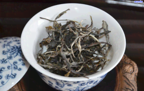 2020年曼松古树茶价格：每公斤多少？古茶树数量有多少？