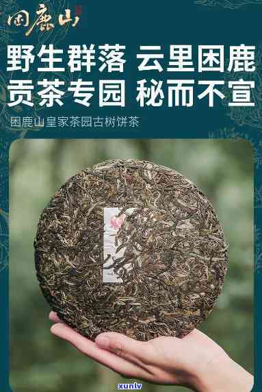 曼松茶和困鹿山价格-曼松茶的价格