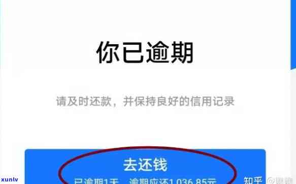 支付宝借呗逾期1天的结果是什么？