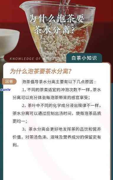 喝茶为什么要茶水分离？详解原因与重要性