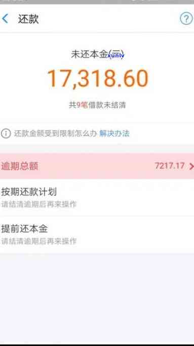 支付宝借呗逾期天数计算  及步骤详解