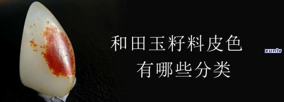 山料原石皮色有哪些，探究山料原石的皮色种类