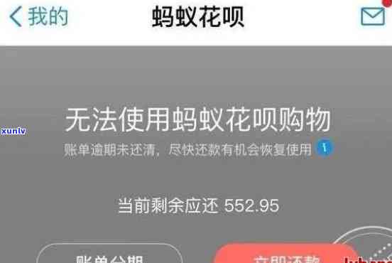 支付宝花呗逾期八天：  催款称半小时内还款，否则将承担法律责任