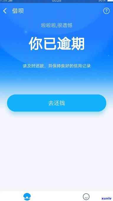 什么是信用卡逾期记录，解析信用卡逾期记录：一窥背后的财务风险