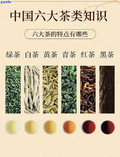 茶按茶颜色分类为六大类，探索茶叶世界：按茶颜色分类的六大类别