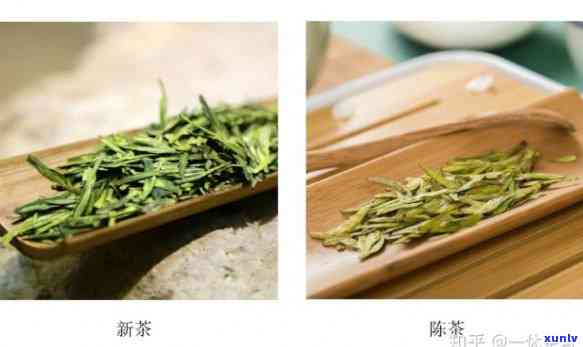 怎样分辨新茶、新茶叶和新茶壶？