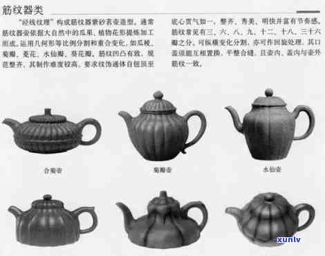 茶壶形状分类及名称大全：详细图解与图片展示