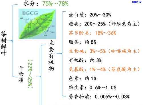 四排山普洱生茶价格多少一斤？