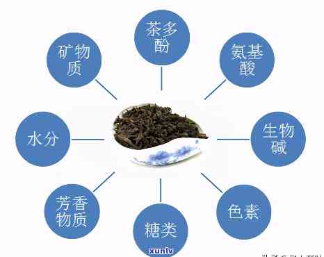 茶叶的主要成分有哪些，揭秘茶叶的组成：主要成分解析