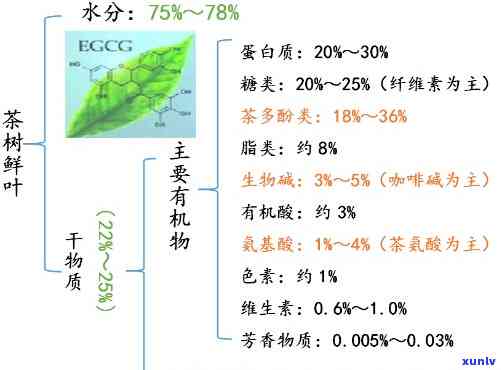 翡翠项链链子搭配：技巧与建议