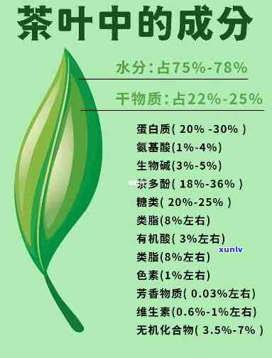 茶叶中的成分构成-茶叶中的成分构成是什么