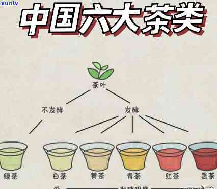 我国的茶如何分类的-我国的茶是如何分类的