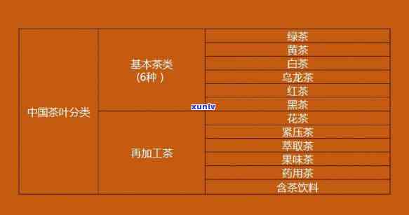 茶是根据什么分类的呢，探究茶叶分类：依据是什么？