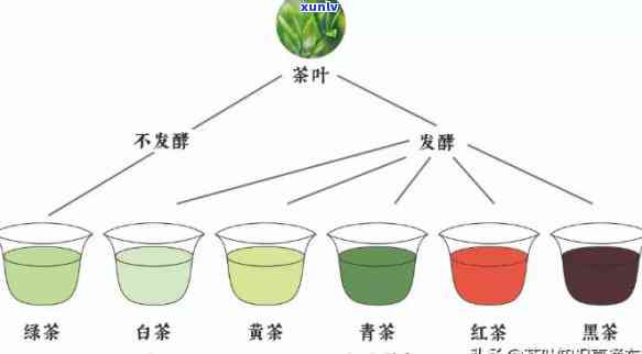 如何应对20张信用卡逾期问题：实用解决方案与建议