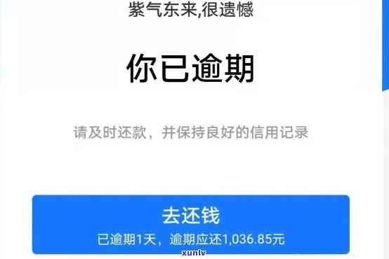 支付宝欠借呗逾期一天会有什么结果？