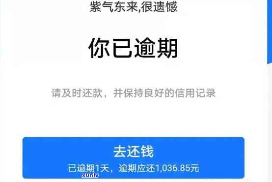 支付宝欠借呗逾期一天-支付宝欠借呗逾期一天会怎么样