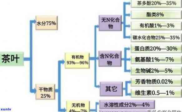 茶水里含有什么成分，探秘茶水：了解其蕴含的神秘成分