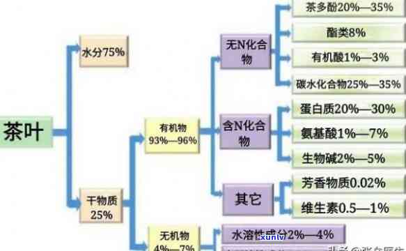 茶水中含有哪些成分-茶水里含有什么成分