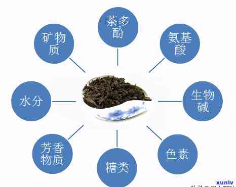 茶水中含有哪些成分-茶水里含有什么成分